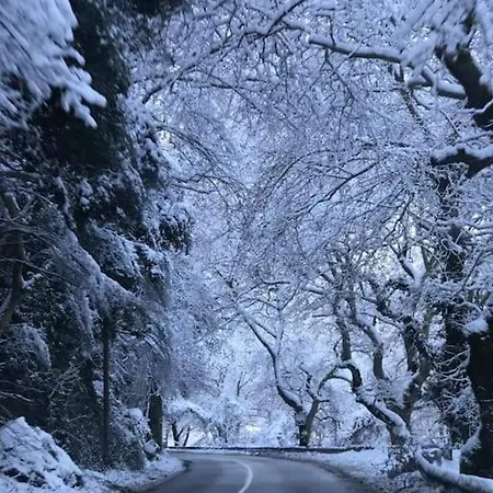 Apartament χαίρε, ξεΐνε, παρ' αμμι φιλησεαι