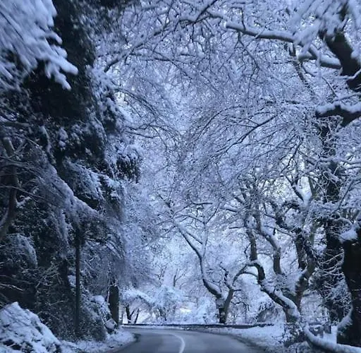 Daire χαίρε, ξεΐνε, παρ' αμμι φιλησεαι